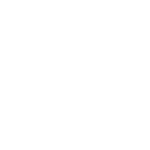 Pace Logo (white) 1 (1)