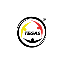 Pace Supporter Tegas V2